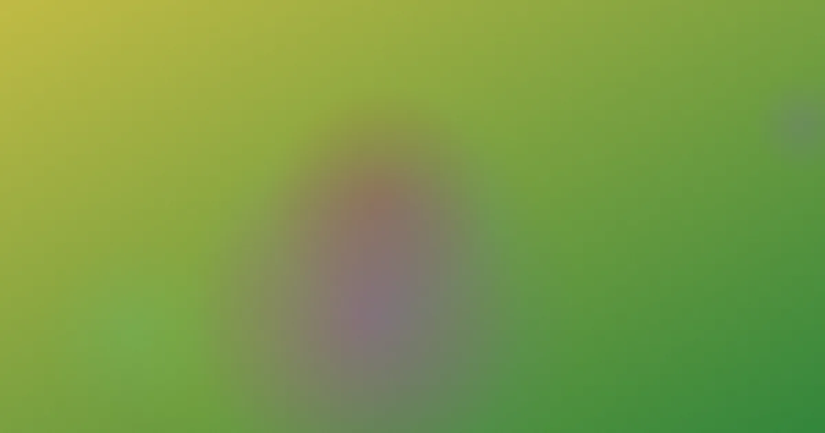 黄子扬怎么用？四种检索方式实测